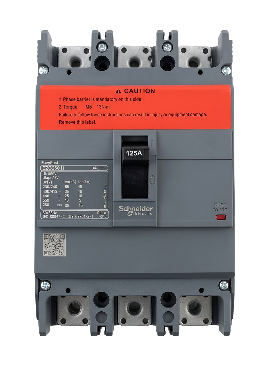 Schneider Thermal-Magnetic Circuit Breaker - 125A